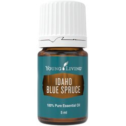 Idahao Blue Spruce