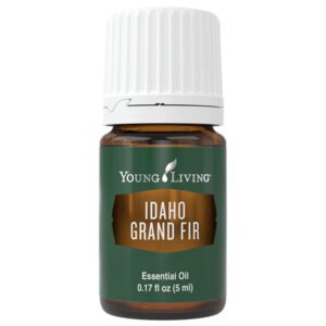 Idaho Grand Fir