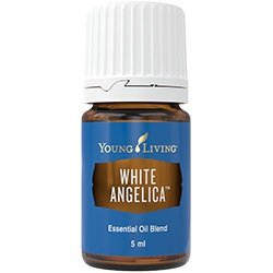 White Angelica